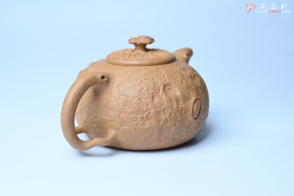 紫砂壶图片：潜力股赵老师实力演绎全手工老黄段泥灵芝游龙供春壶 游龙传福 不失为一把好壶 - 宜兴紫砂壶网