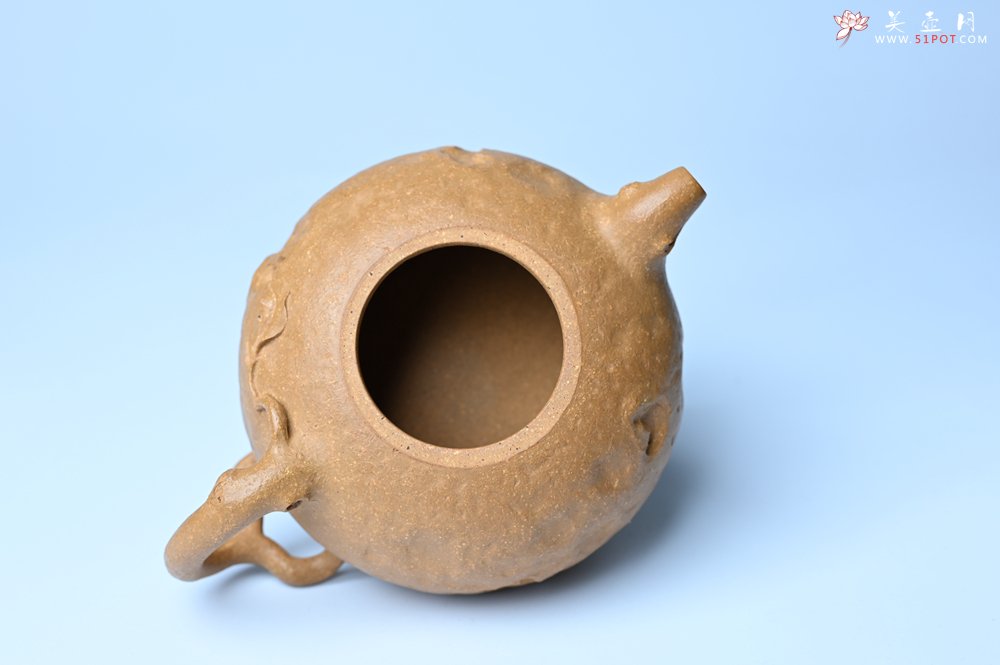 紫砂壶图片：潜力股赵老师实力演绎全手工老黄段泥金蟾供春壶 金蟾灵动 不失为一把好壶 - 宜兴紫砂壶网