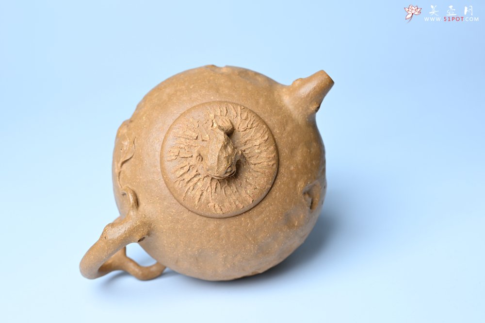 紫砂壶图片：潜力股赵老师实力演绎全手工老黄段泥金蟾供春壶 金蟾灵动 不失为一把好壶 - 宜兴紫砂壶网