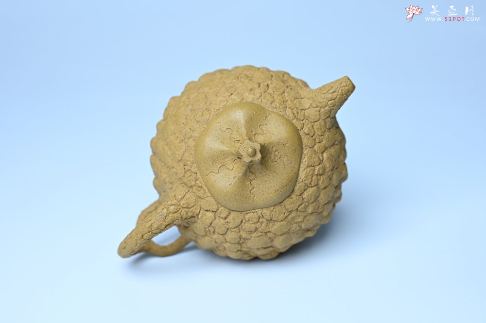 紫砂壶图片：美壶特惠 全手工黄段供春 肌理有老树瘿的感觉 灰常赞 - 宜兴紫砂壶网