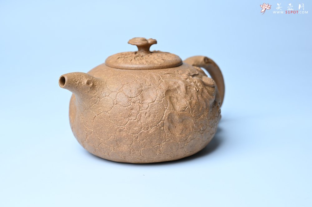 紫砂壶图片：潜力股赵老师实力演绎全手工老黄段泥灵芝游龙供春壶 游龙传福 不失为一把好壶 - 宜兴紫砂壶网