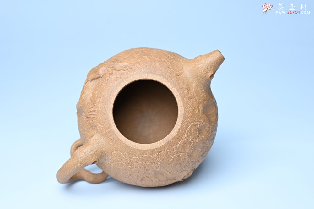 紫砂壶图片：潜力股赵老师实力演绎全手工老黄段泥灵芝游龙供春壶 游龙传福 不失为一把好壶 - 宜兴紫砂壶网