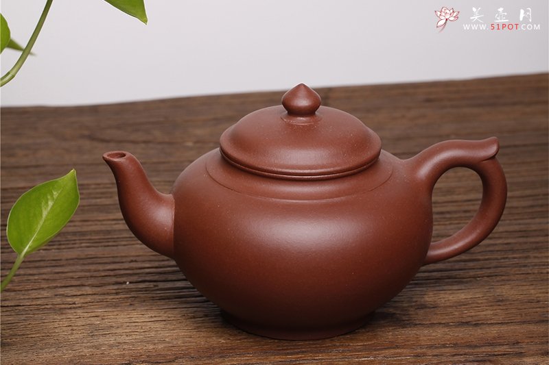 紫砂壶图片：笑樱 - 宜兴紫砂壶网