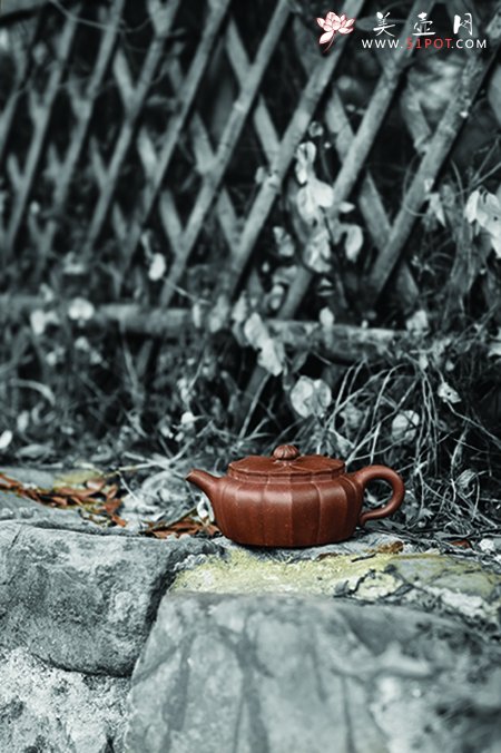 紫砂壶图片：葵八方 - 宜兴紫砂壶网