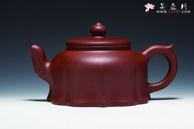 紫砂壶图片：静莲 - 宜兴紫砂壶网