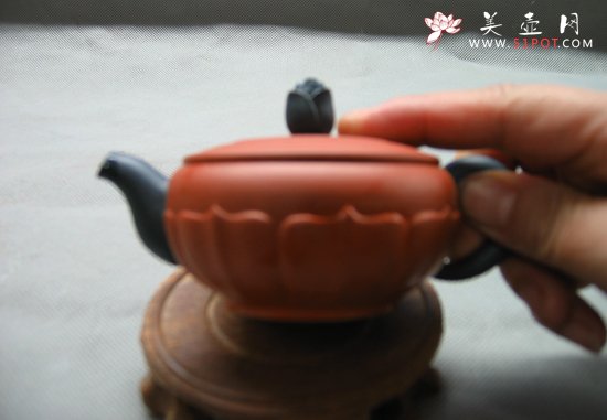 紫砂壶图片：半菊 - 宜兴紫砂壶网