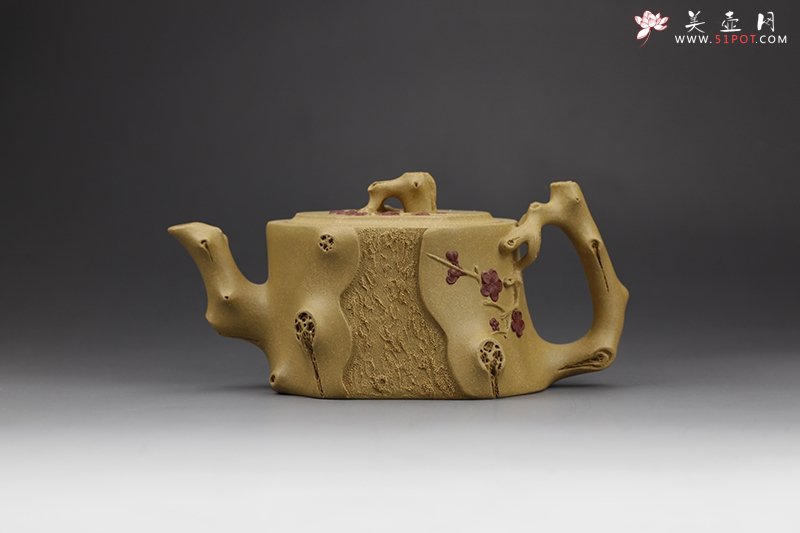 紫砂壶图片：双色梅椿壶（黄龙山原矿段泥） - 宜兴紫砂壶网