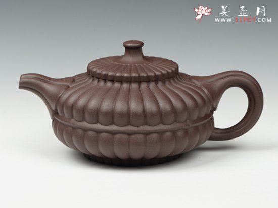 紫砂壶图片：合菊 - 宜兴紫砂壶网