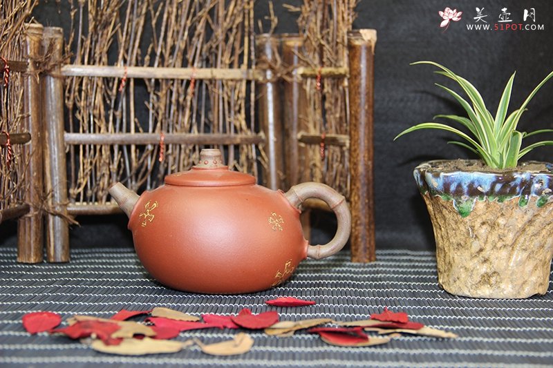 紫砂壶图片：海涵 - 宜兴紫砂壶网