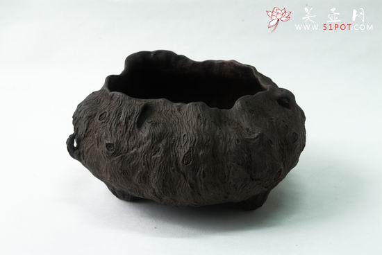 紫砂壶图片：树瘿系列 - 宜兴紫砂壶网