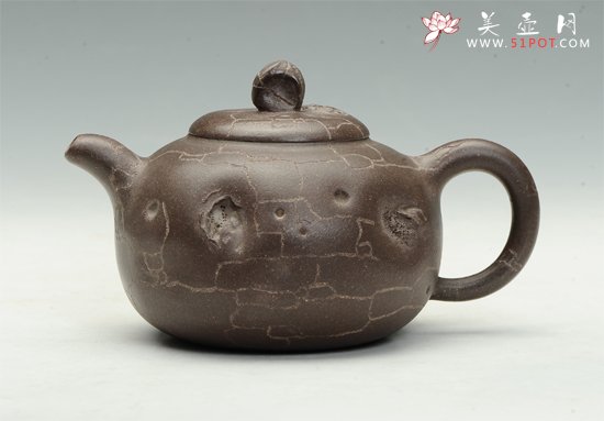 紫砂壶图片：树化石 - 宜兴紫砂壶网