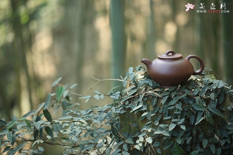 紫砂壶图片：悟道 - 宜兴紫砂壶网