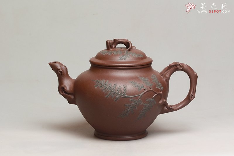 紫砂壶图片：常青 - 宜兴紫砂壶网