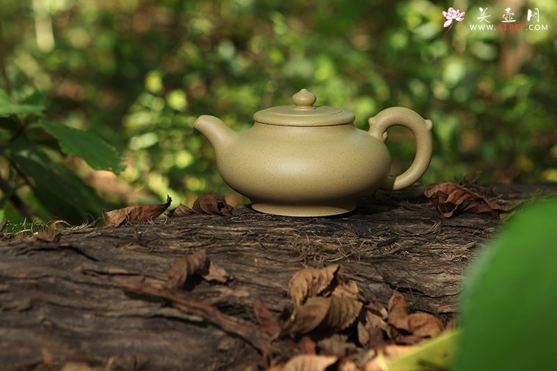 紫砂壶图片：飞翼1 - 宜兴紫砂壶网