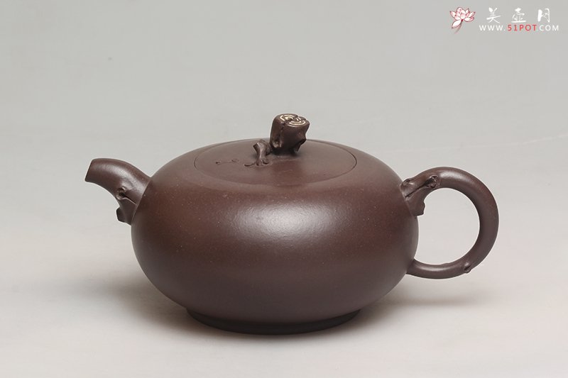 紫砂壶图片：一枝独秀 - 宜兴紫砂壶网