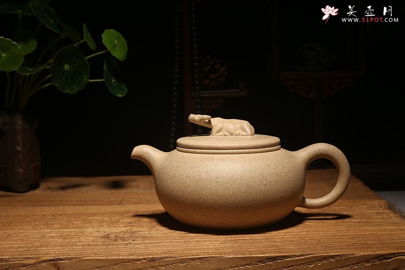 紫砂壶图片：牛墩 - 宜兴紫砂壶网