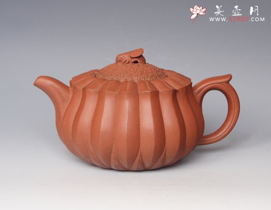 紫砂壶图片：蜂菊 - 宜兴紫砂壶网