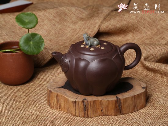 紫砂壶图片：青蛙莲子 - 宜兴紫砂壶网