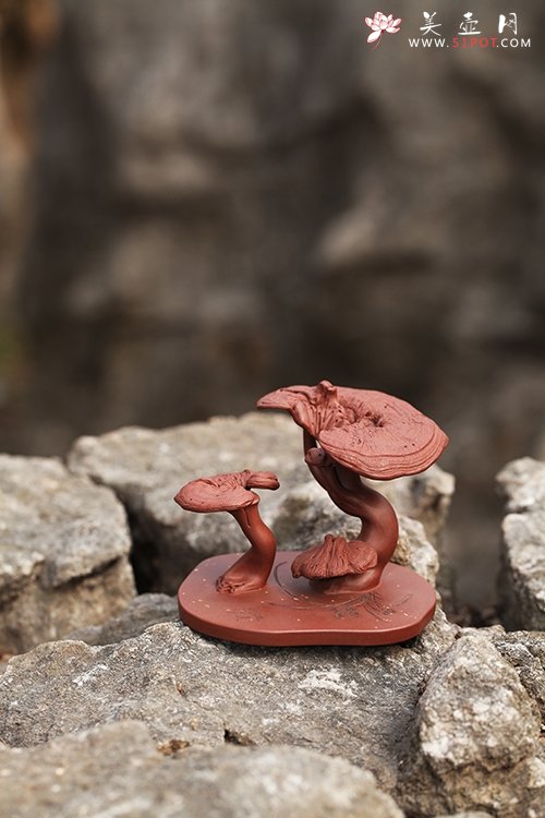 紫砂壶图片：灵芝（雅玩） - 宜兴紫砂壶网