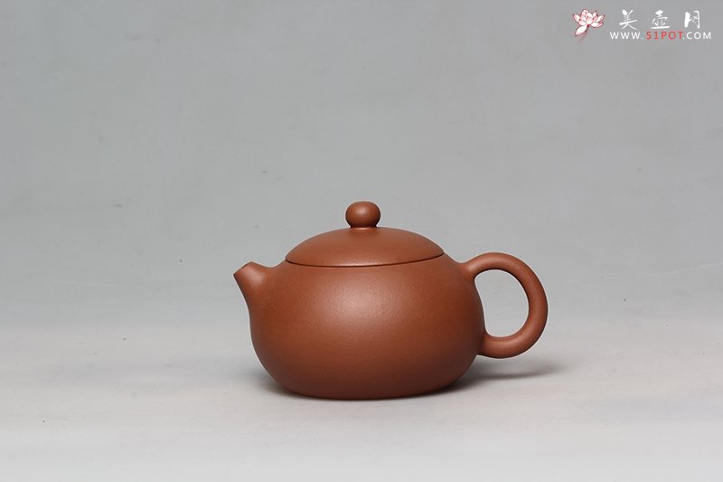 紫砂壶图片：西施 - 宜兴紫砂壶网