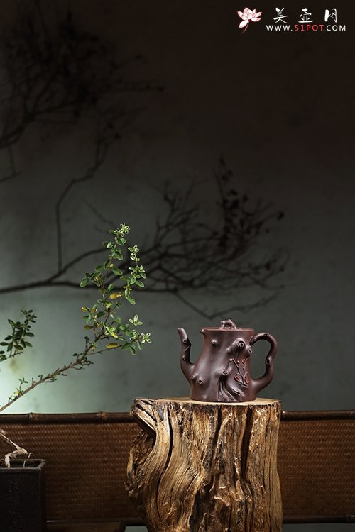 紫砂壶图片：梅桩 - 宜兴紫砂壶网