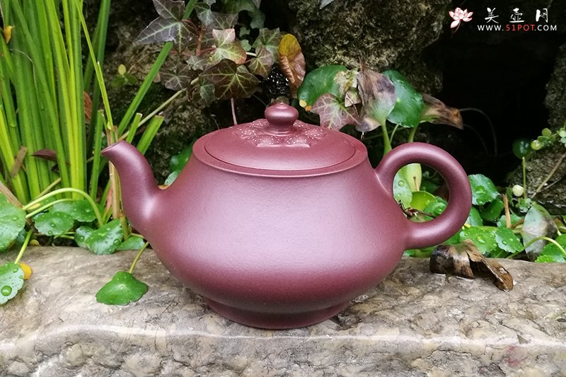 紫砂壶图片：梵音 - 宜兴紫砂壶网