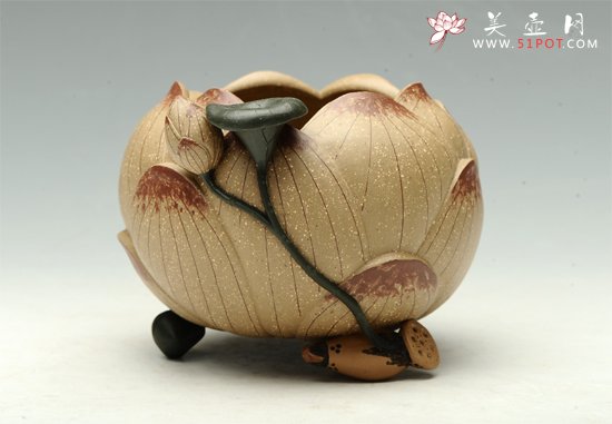 紫砂壶图片：莲子水洗 - 宜兴紫砂壶网