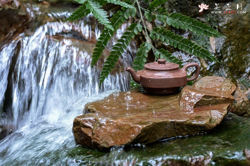 紫砂壶图片：水运壶禅 - 宜兴紫砂壶网
