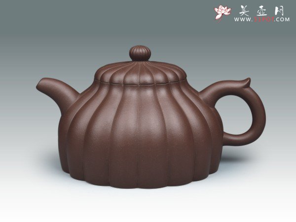 紫砂壶图片：菊瓣 - 宜兴紫砂壶网