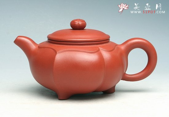 紫砂壶图片：荷花 - 宜兴紫砂壶网