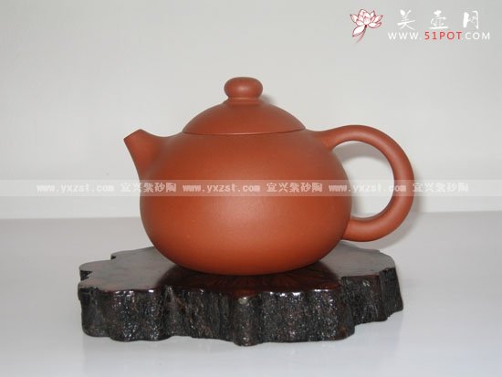 紫砂壶图片：西施 - 宜兴紫砂壶网