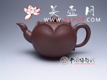 紫砂壶图片：荷莲 - 宜兴紫砂壶网