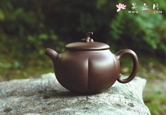 紫砂壶图片：金瓜 - 宜兴紫砂壶网