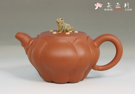 紫砂壶图片：青蛙莲子 - 宜兴紫砂壶网