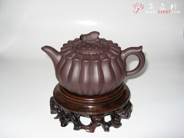紫砂壶图片：蜂菊 - 宜兴紫砂壶网
