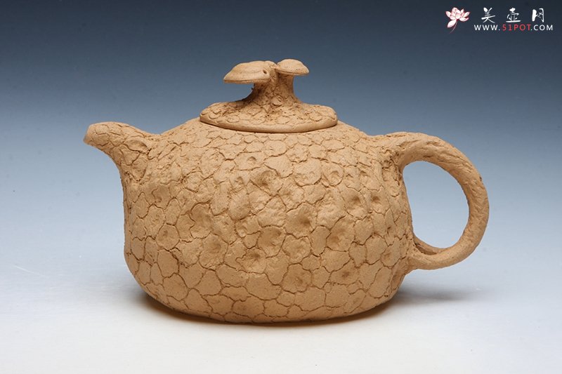 紫砂壶图片：供春壶 - 宜兴紫砂壶网