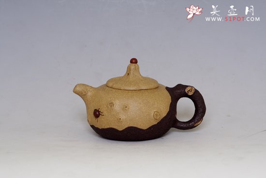 紫砂壶图片：双色树瘿 - 宜兴紫砂壶网