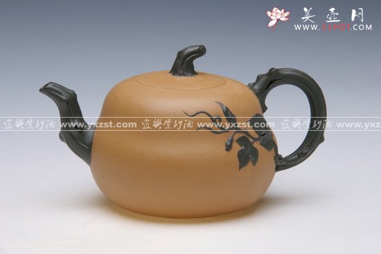 紫砂壶图片：金葫芦 - 宜兴紫砂壶网