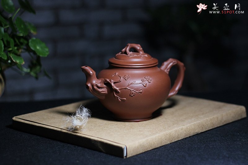 紫砂壶图片：报春 - 宜兴紫砂壶网