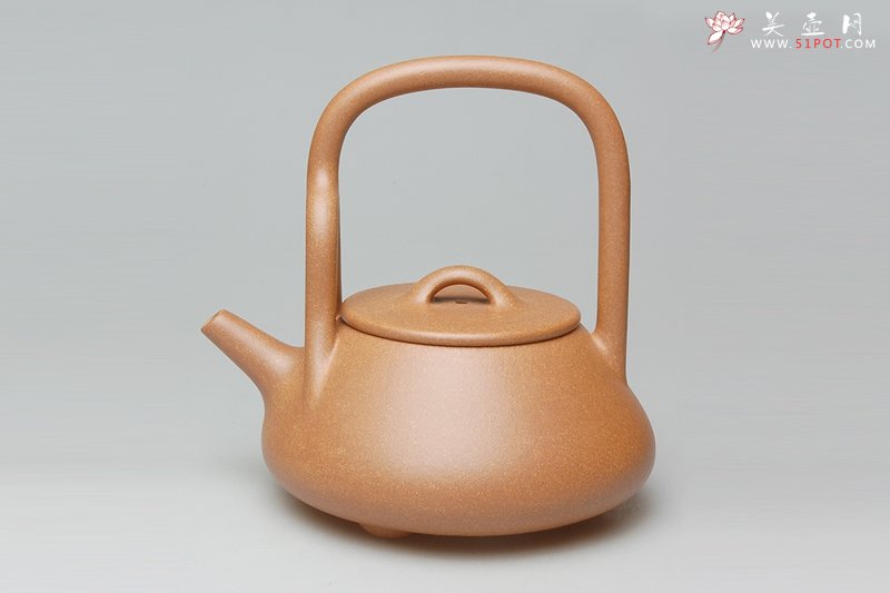 紫砂壶图片：石瓢提梁壶 - 宜兴紫砂壶网