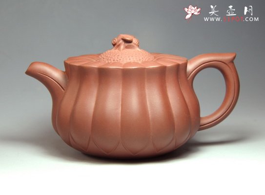 紫砂壶图片：蜂菊 - 宜兴紫砂壶网