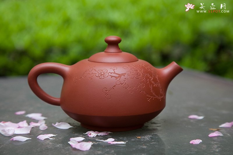 紫砂壶图片：花翎壶 - 宜兴紫砂壶网