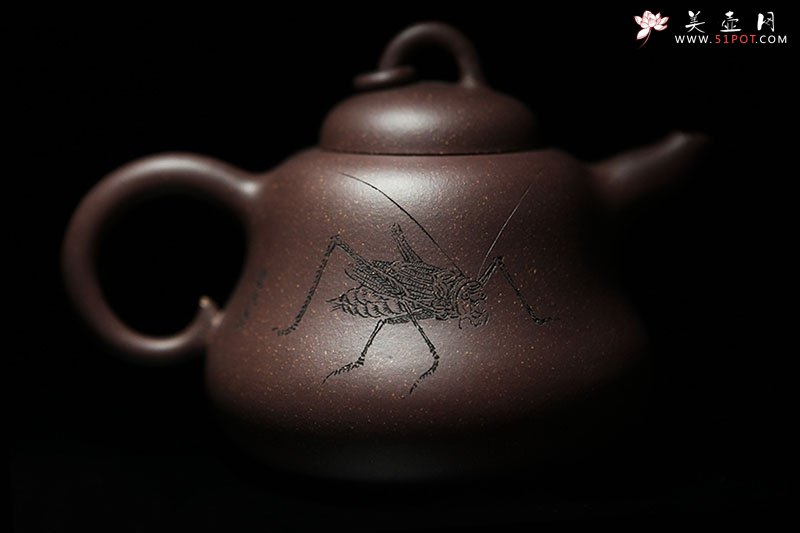 紫砂壶图片：芦壶特写（江苏省文联专职画家韩非书画） - 宜兴紫砂壶网