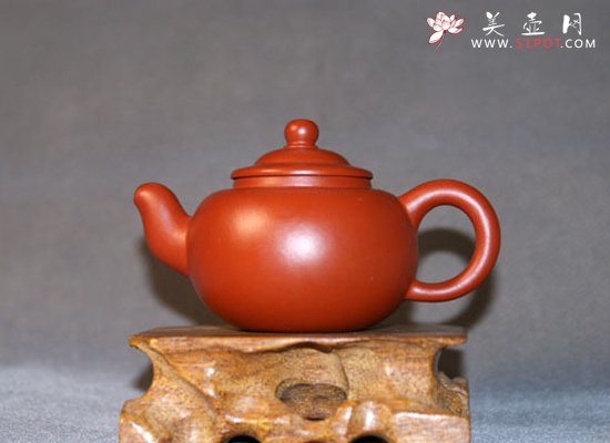 紫砂壶图片：小圆珠 - 宜兴紫砂壶网