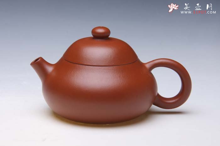 紫砂壶图片：文旦  朱泥 - 宜兴紫砂壶网