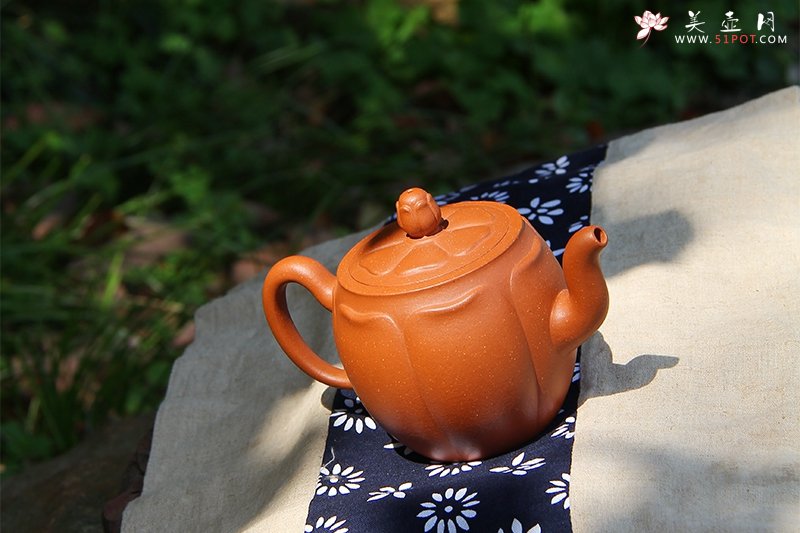紫砂壶图片：花蕾 - 宜兴紫砂壶网