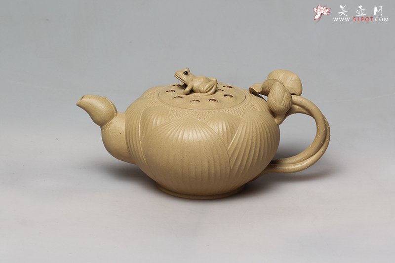 紫砂壶图片：月色蛙莲 - 宜兴紫砂壶网