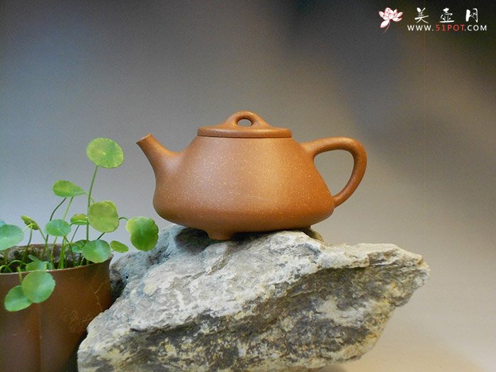 紫砂壶图片：石瓢 - 宜兴紫砂壶网