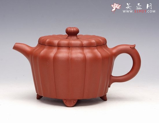 紫砂壶图片：菊瓣 - 宜兴紫砂壶网