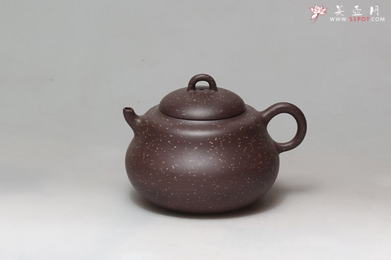 紫砂壶图片：海纳壶 - 宜兴紫砂壶网